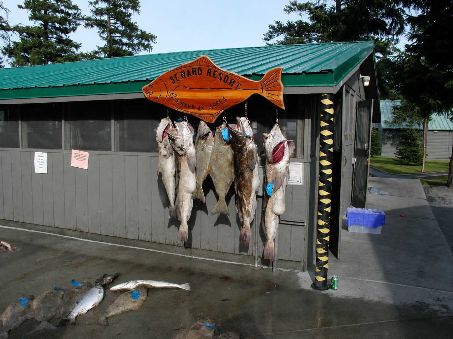 Seward, Alaska